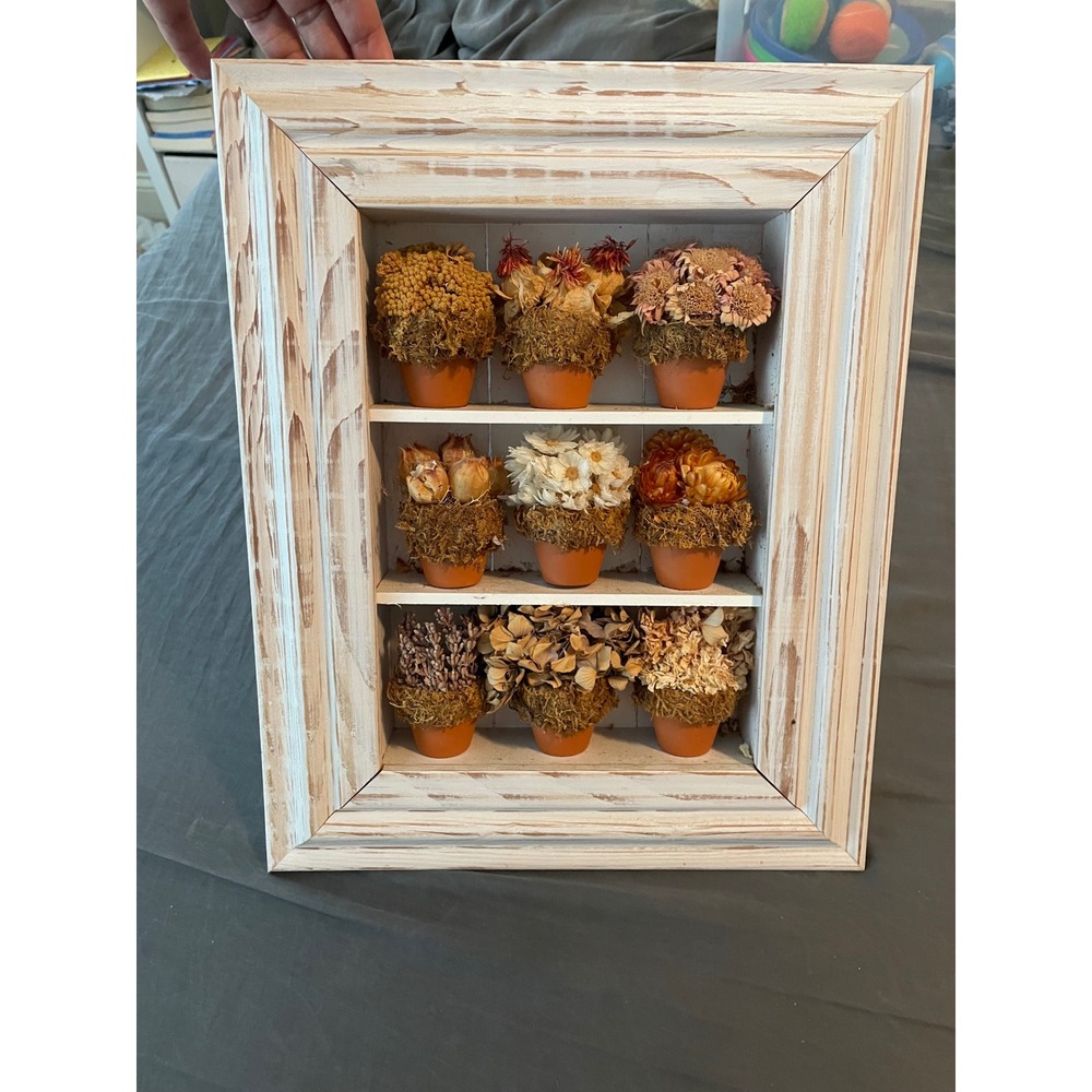 Dried Flower Mini Terracotta Pot Shadow Box Wall Decor Cottage Rustic Country